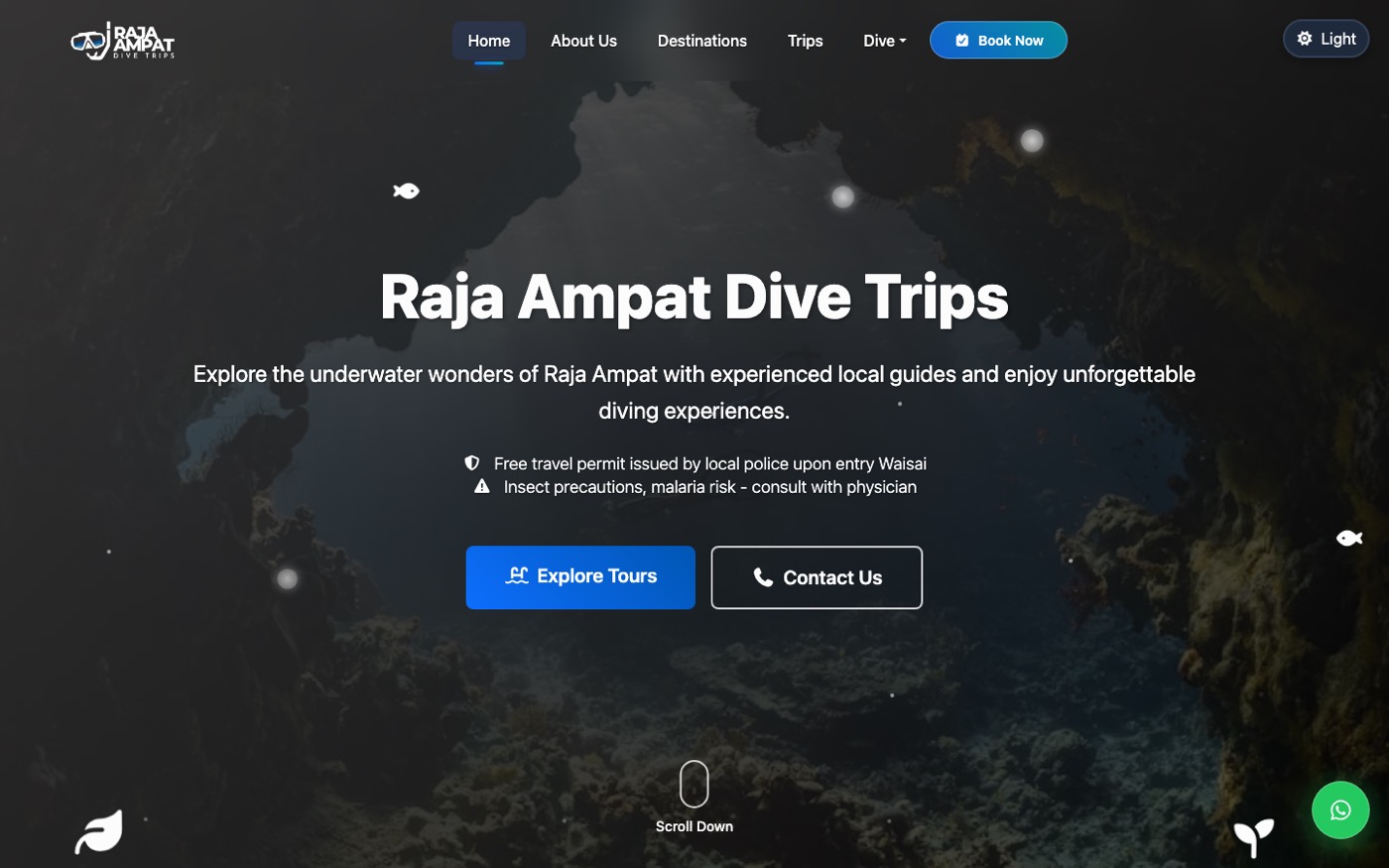 Raja Ampat Dive Trips — Website